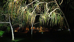pa280174_thumb.jpg