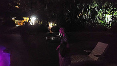 pa280183_thumb.jpg