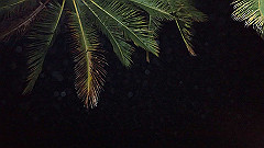 pa280187_thumb.jpg