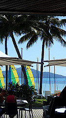 pa290319_thumb.jpg