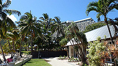pa290320_thumb.jpg