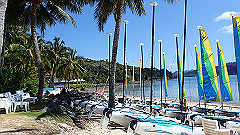 pa290322_thumb.jpg