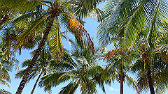 pa290335_thumb.jpg