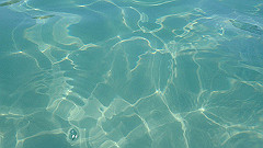 pa290348_thumb.jpg