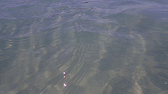 pa290353_thumb.jpg