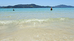 pa290373_thumb.jpg