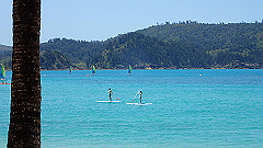 pa290376_thumb.jpg