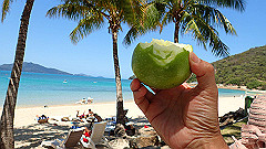 pa290382_thumb.jpg