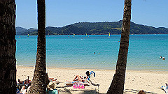 pa290384_thumb.jpg