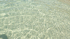 pa290385_thumb.jpg
