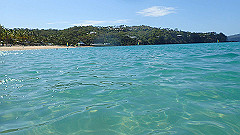 pa290390_thumb.jpg