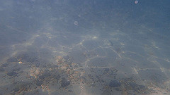 pa290392_thumb.jpg