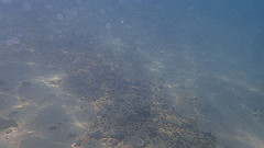 pa290393_thumb.jpg