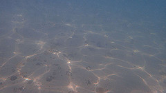 pa290394_thumb.jpg