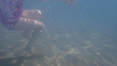 pa290395_thumb.jpg