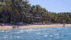 pa290405_thumb.jpg