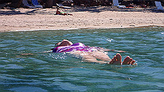pa290411_thumb.jpg