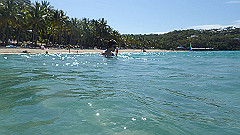 pa290421_thumb.jpg