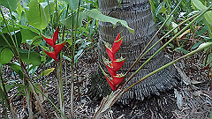 pa290435_thumb.jpg