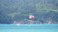 dsc00005_thumb.jpg