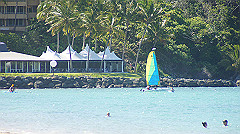dsc00007_thumb.jpg