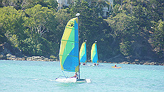 dsc00008_thumb.jpg