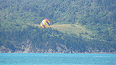 dsc00009_thumb.jpg