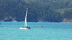 dsc00019_thumb.jpg