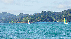 dsc00035_thumb.jpg