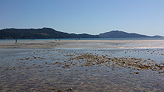 dsc_0128_thumb.jpg