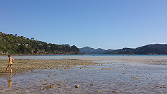 dsc_0131_thumb.jpg