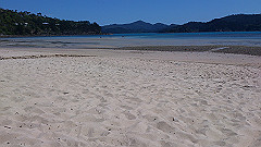 dsc_0148_thumb.jpg