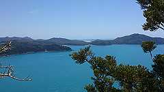 dsc_0154_thumb.jpg