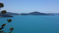 dsc_0156_thumb.jpg