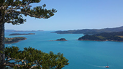 dsc_0161_thumb.jpg