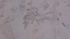 dsc_0165_thumb.jpg