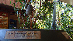 pa300482_thumb.jpg