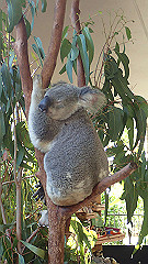 pa300484_thumb.jpg
