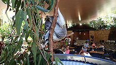 pa300488_thumb.jpg