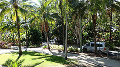 pa300491_thumb.jpg