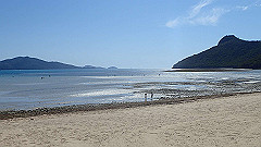 pa300505_thumb.jpg