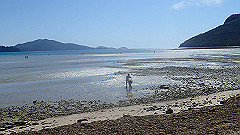 pa300507_thumb.jpg