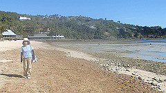 pa300508_thumb.jpg