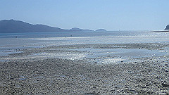 pa300510_thumb.jpg