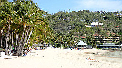 pa300523_thumb.jpg