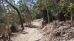 pa300528_thumb.jpg