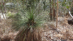 pa300529_thumb.jpg