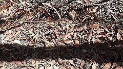 pa300531_thumb.jpg