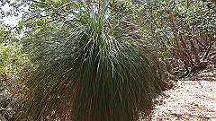 pa300532_thumb.jpg