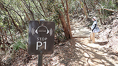 pa300533_thumb.jpg